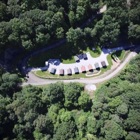 Forest Pod 4 Pet Friendly Villa Neath Eksteriør billede