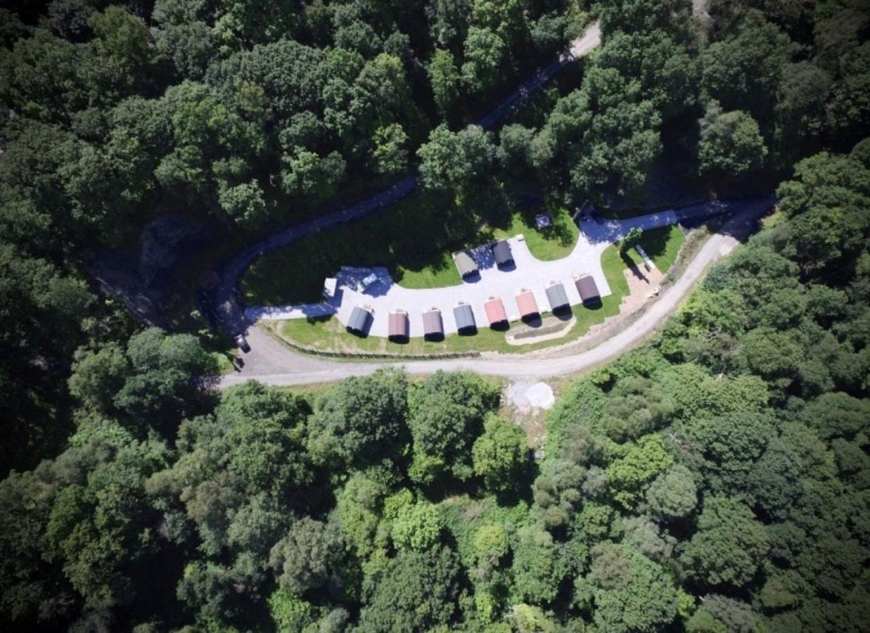 Forest Pod 4 Pet Friendly Villa Neath Eksteriør billede