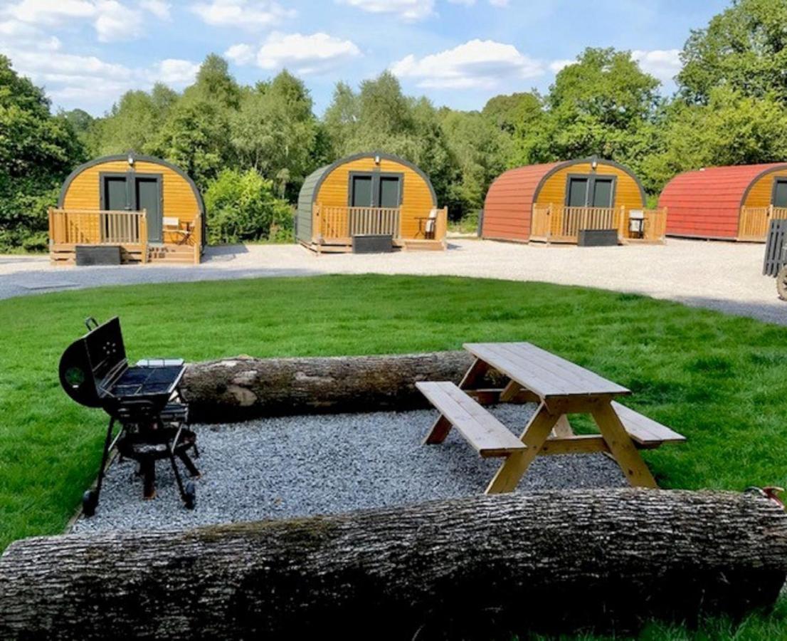 Forest Pod 4 Pet Friendly Villa Neath Eksteriør billede